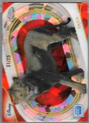 Orange Sapphire Refractor
