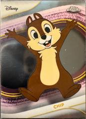 Chip