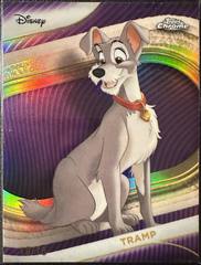Purple Wave Refractor