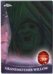 Grandmother Willow