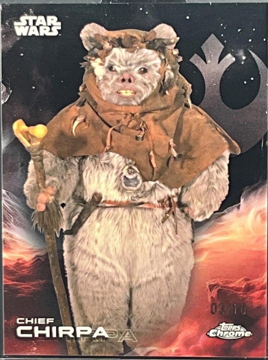 Chief Chirpa