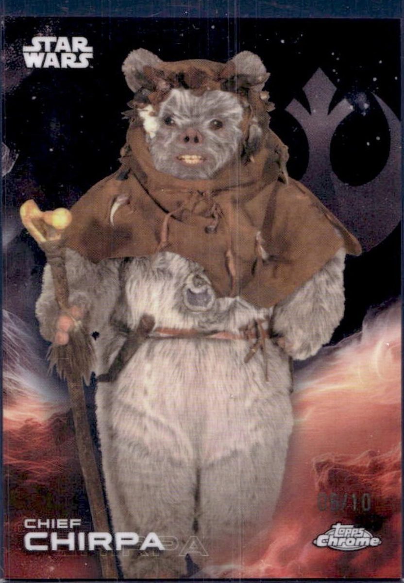 Chief Chirpa