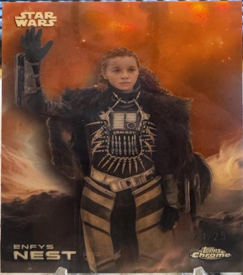 Enfys Nest