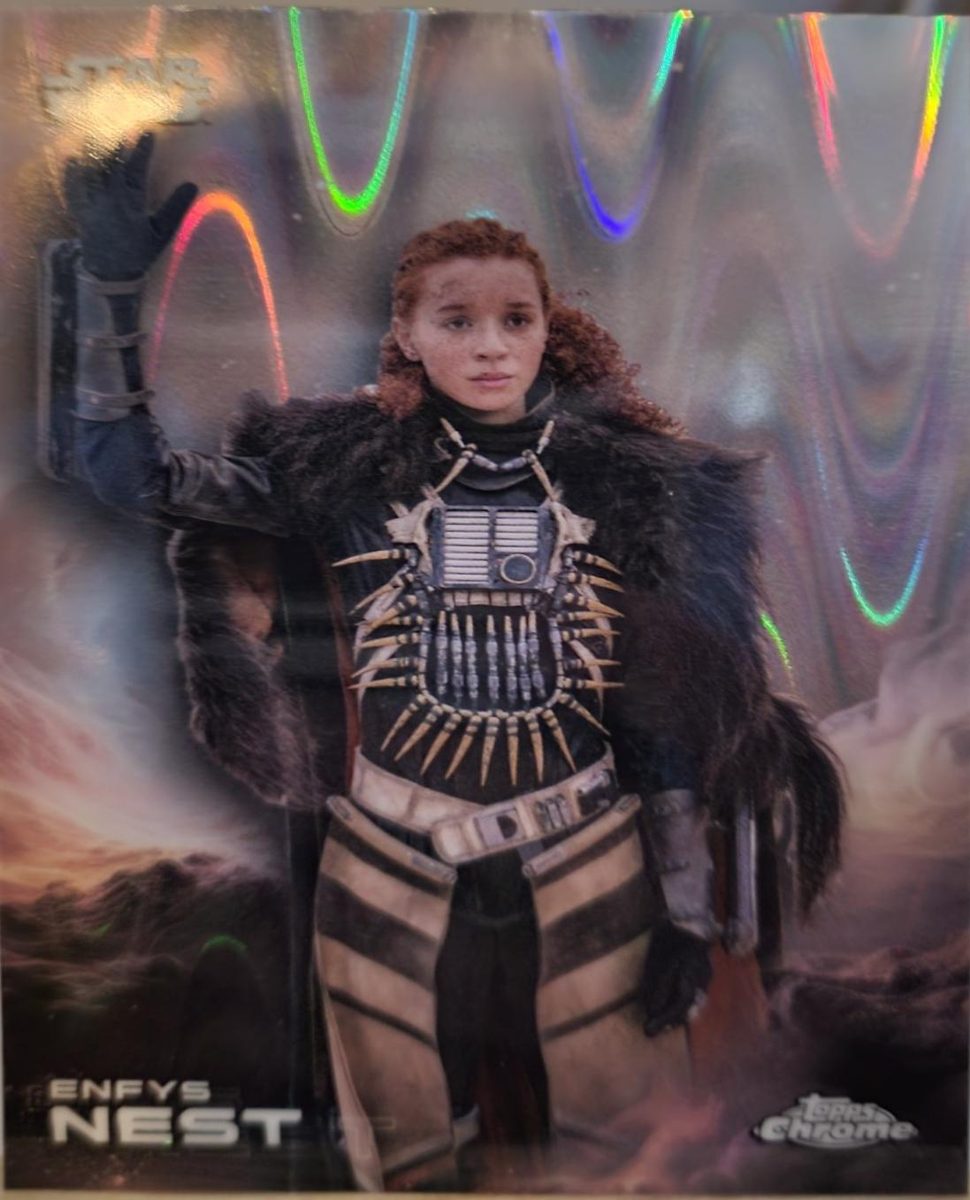 Enfys Nest