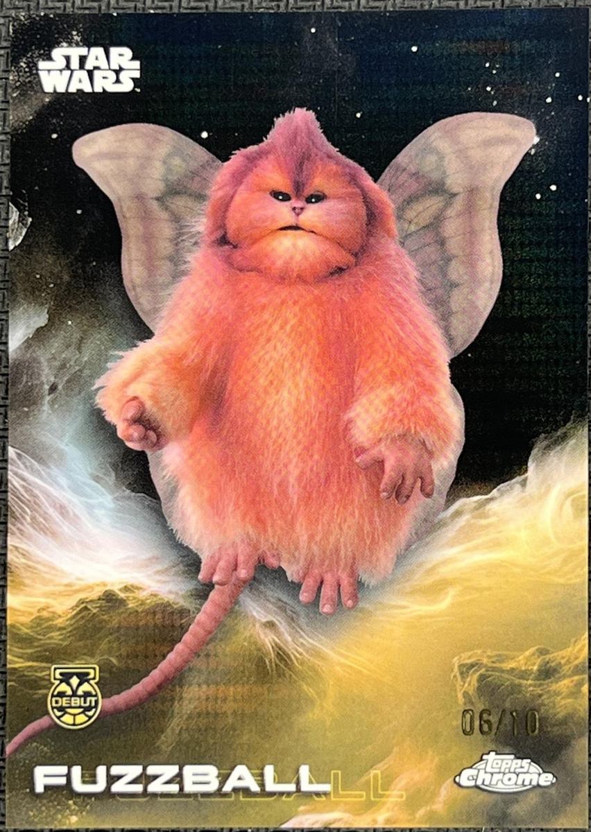 Fuzzball