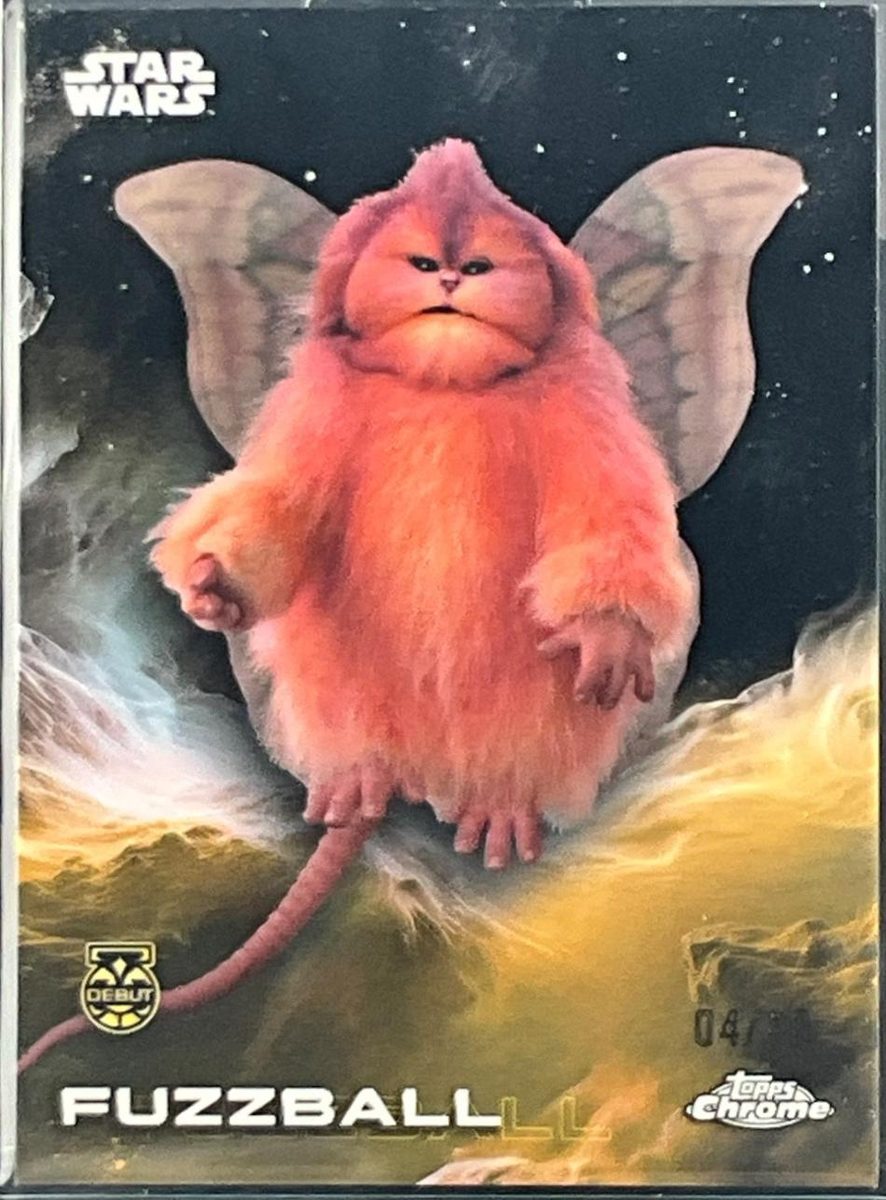 Fuzzball