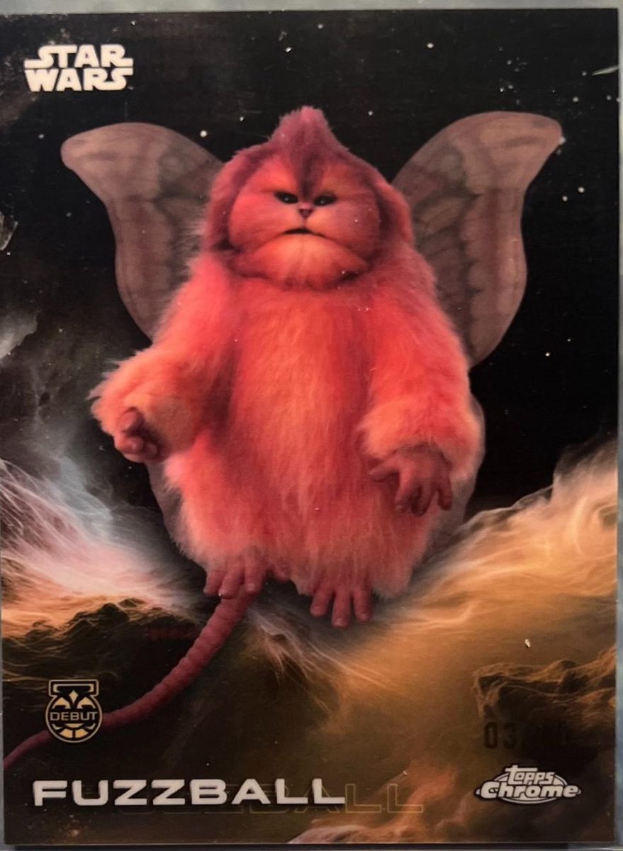 Fuzzball