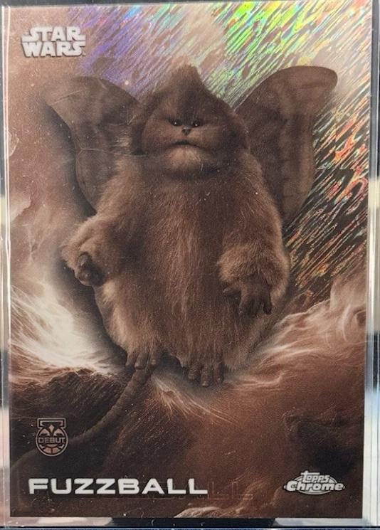 Fuzzball