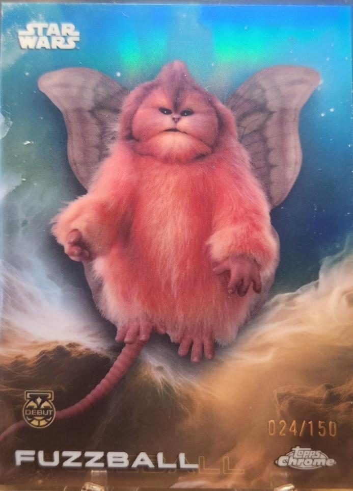Fuzzball