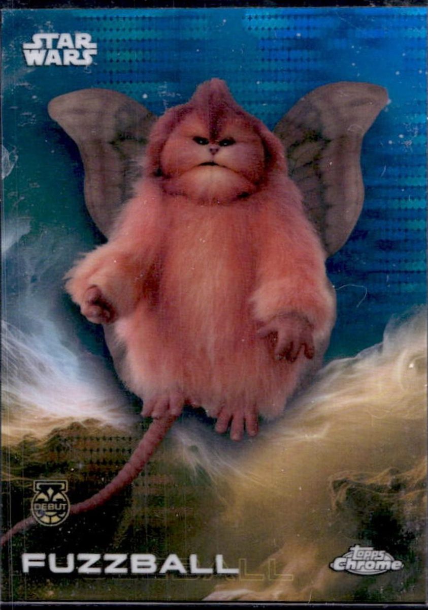 Fuzzball
