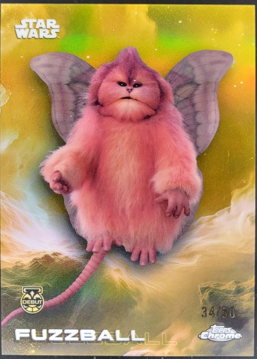 Fuzzball