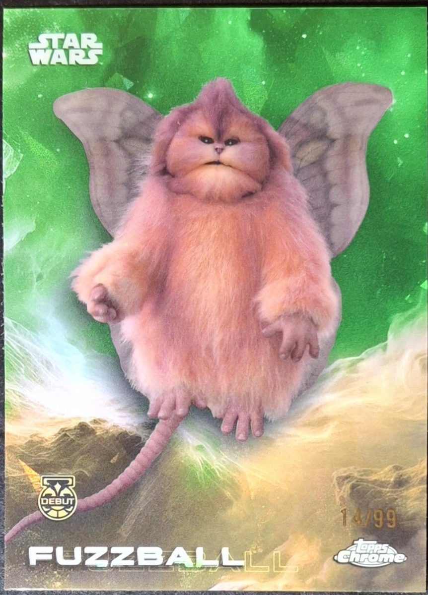 Fuzzball