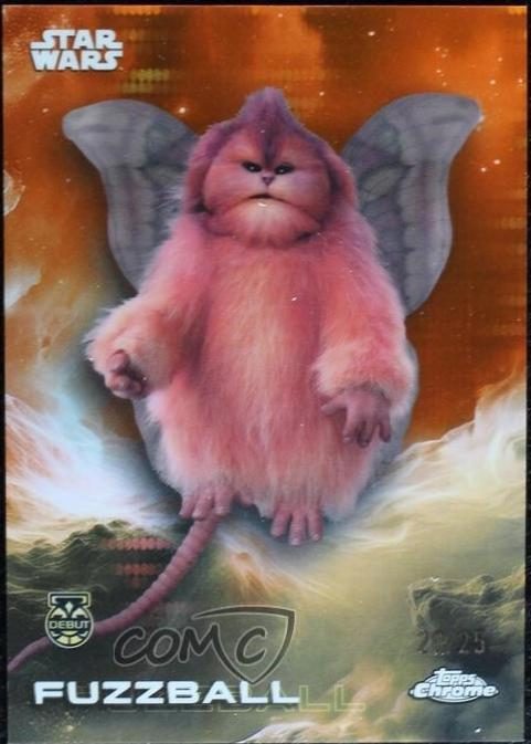 Fuzzball