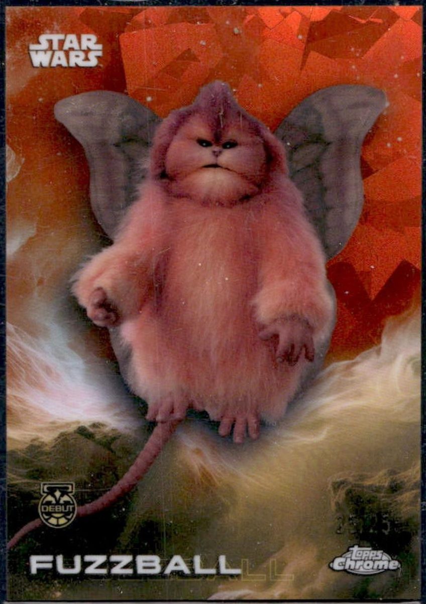 Fuzzball
