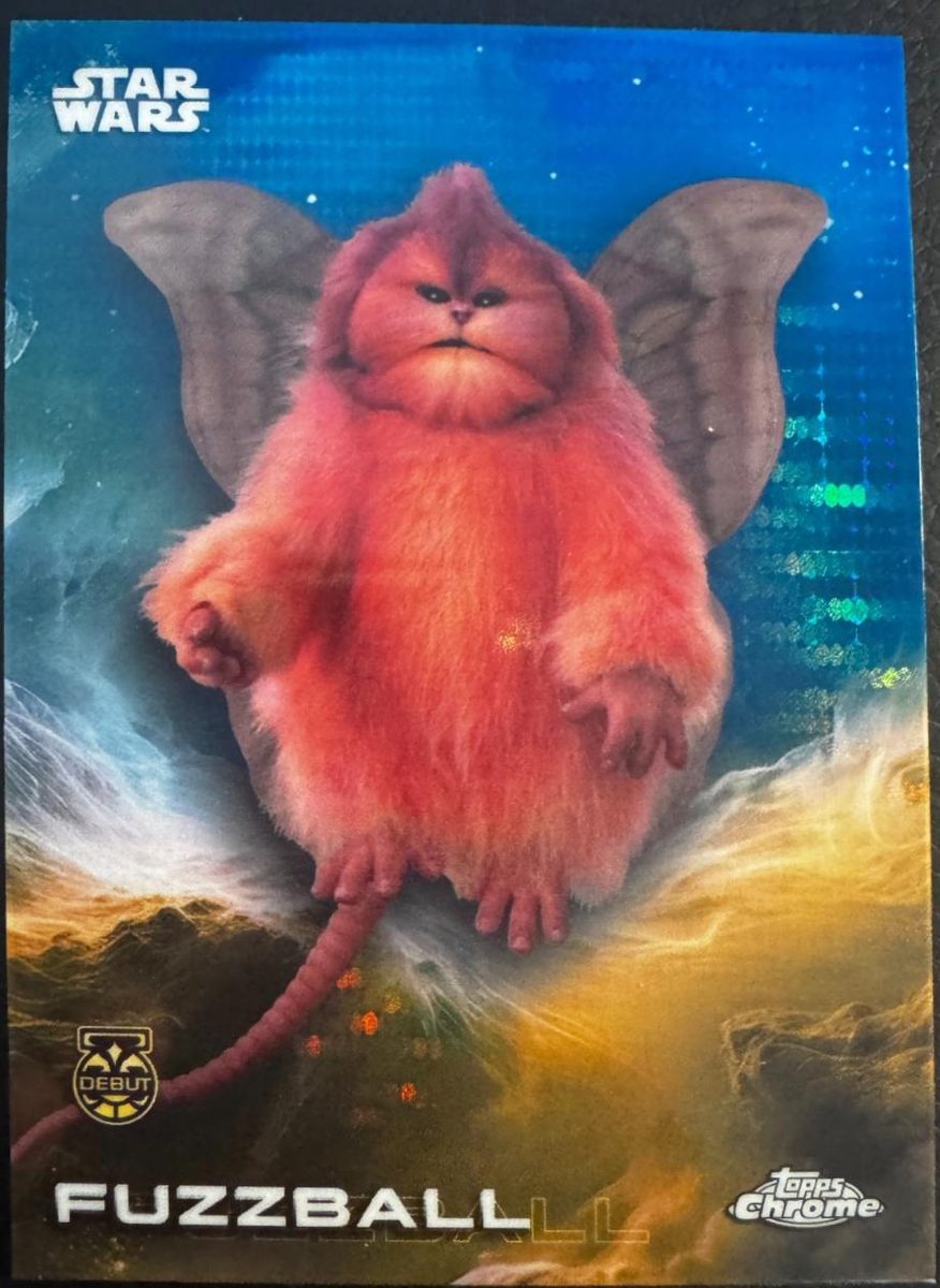 Fuzzball