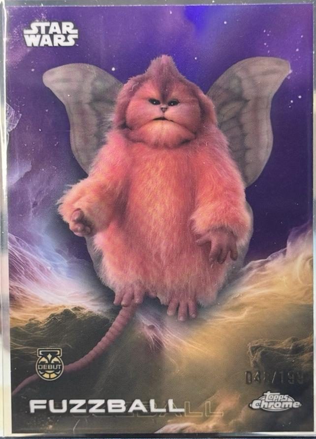 Fuzzball