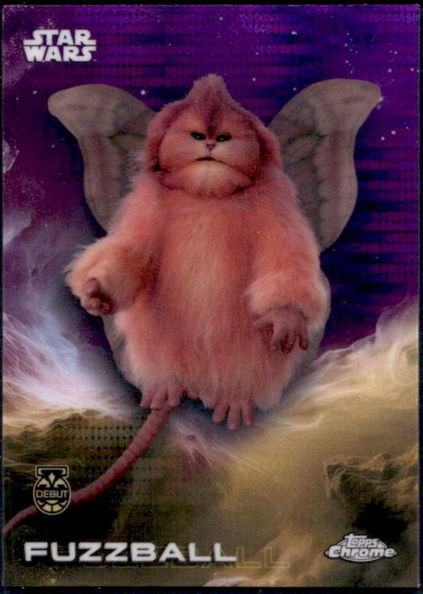 Fuzzball