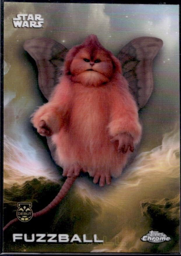 Fuzzball