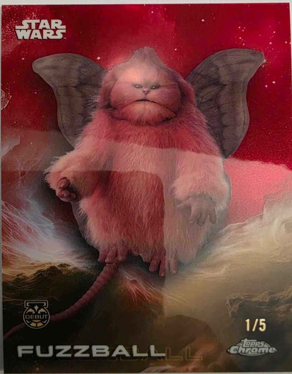 Fuzzball