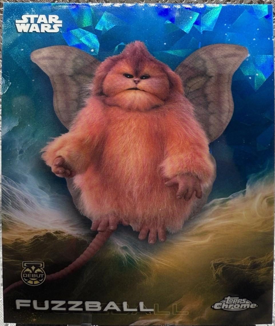 Fuzzball