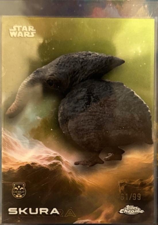 Skura