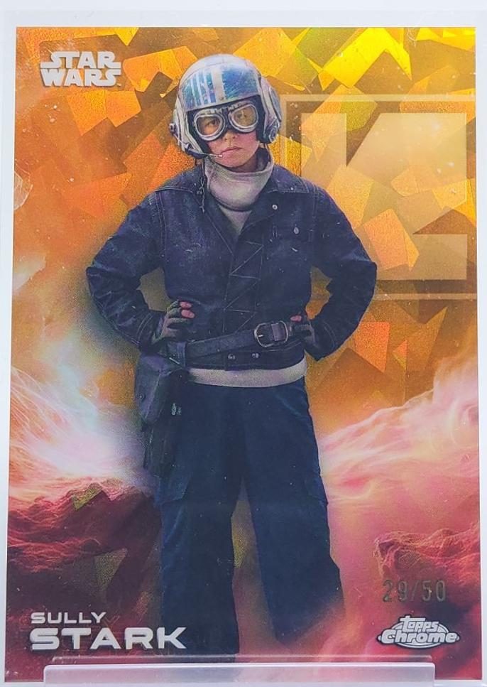 Sully Stark