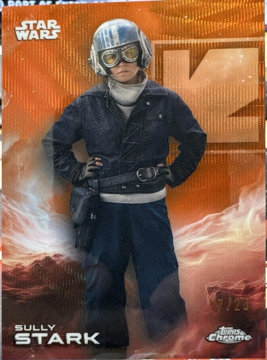 Sully Stark