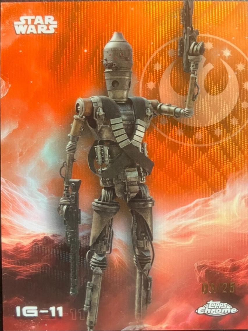 IG-11