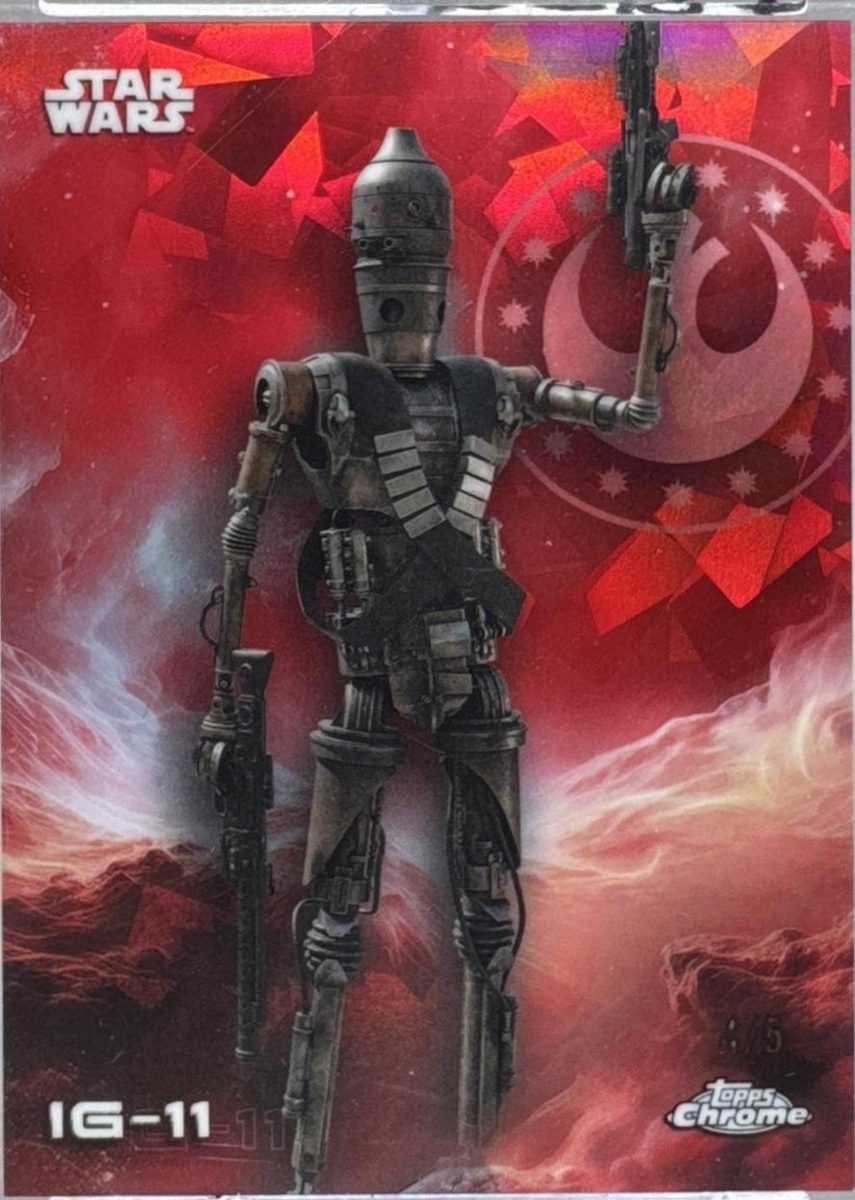 IG-11