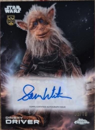 Sam Witwer