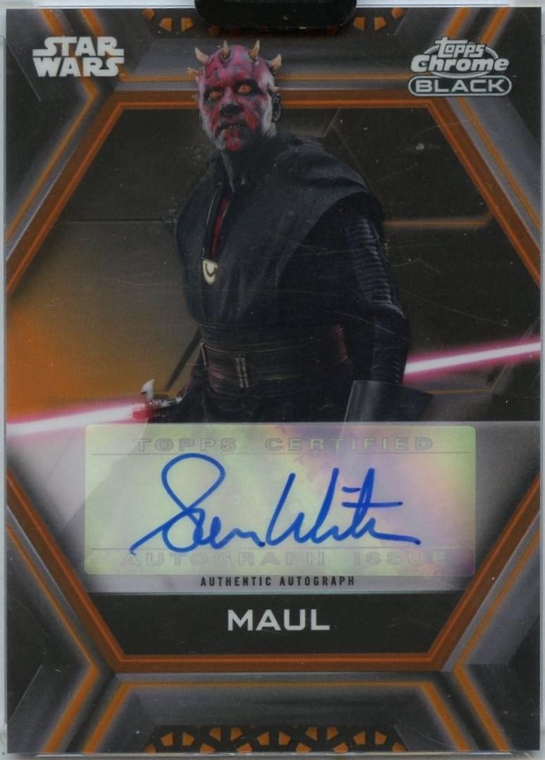 Sam Witwer