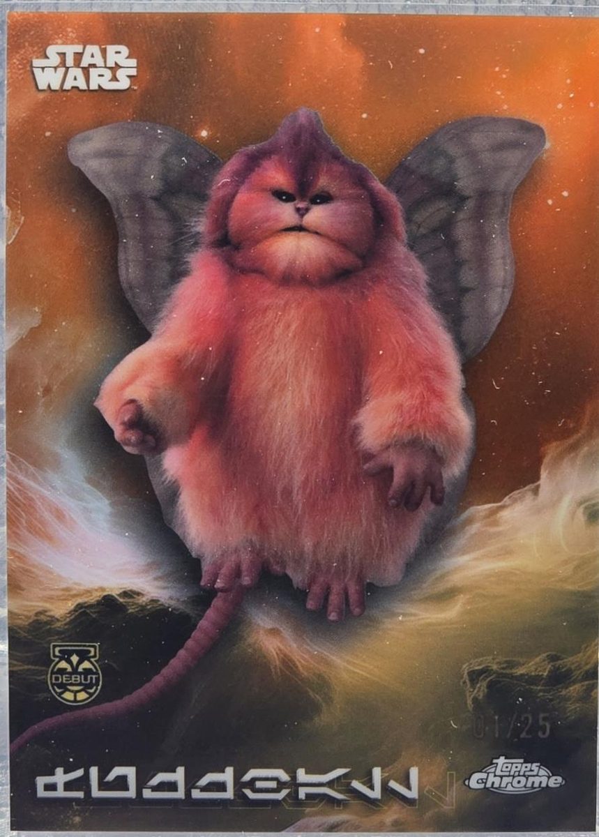 Fuzzball