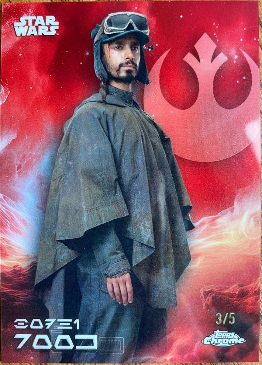 Bodhi Rook