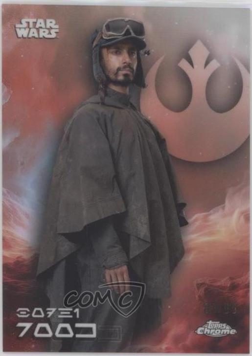 Bodhi Rook
