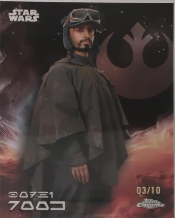 Bodhi Rook