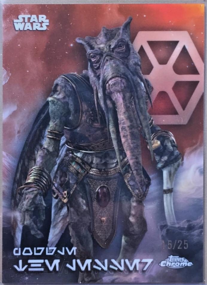 Poggle the Lesser