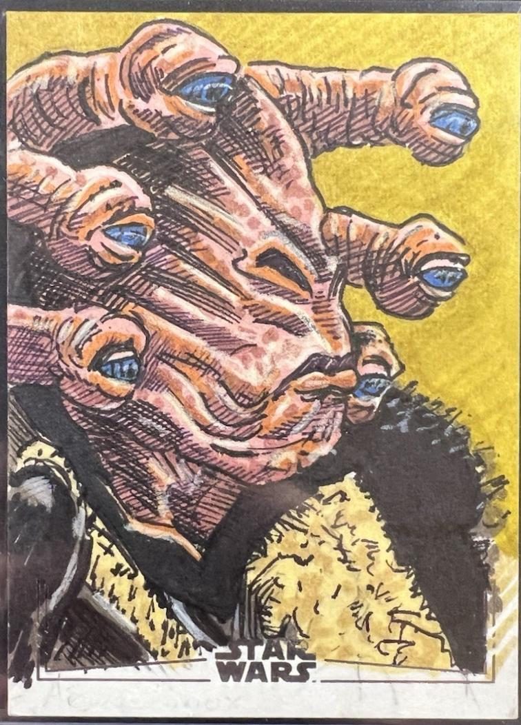 Dan Curto