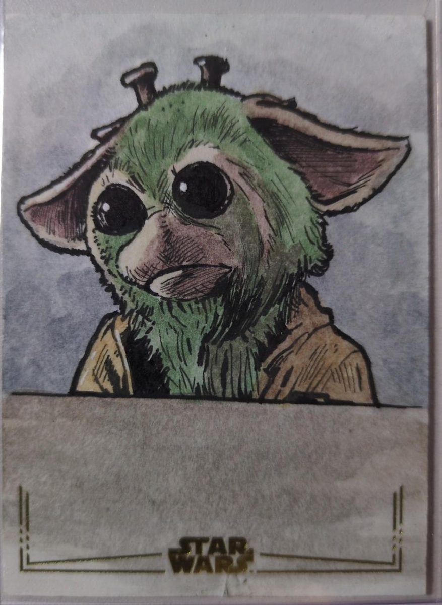 Darrin Pepe