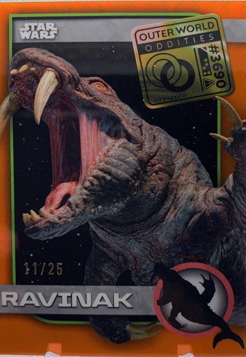 Ravinak
