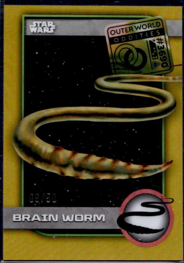 Brain Worm