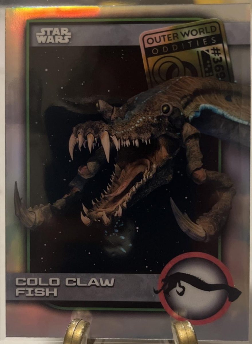 Colo Claw Fish