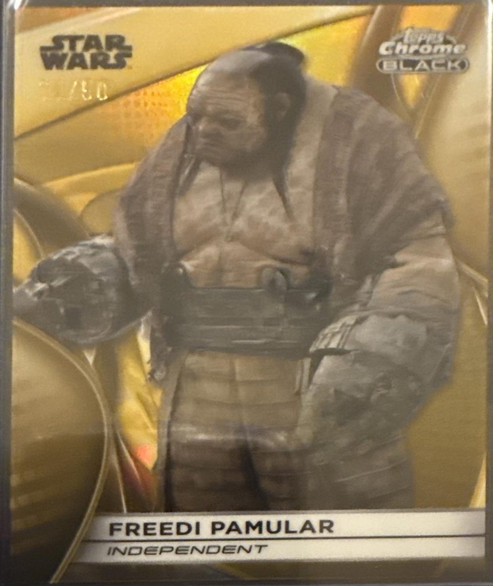 Freedi Pamular