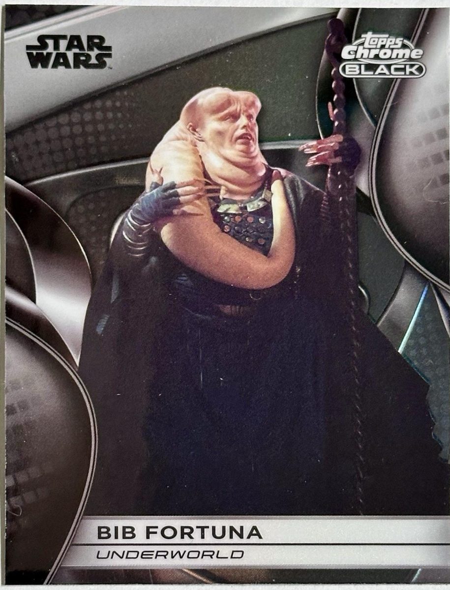 Bib Fortuna