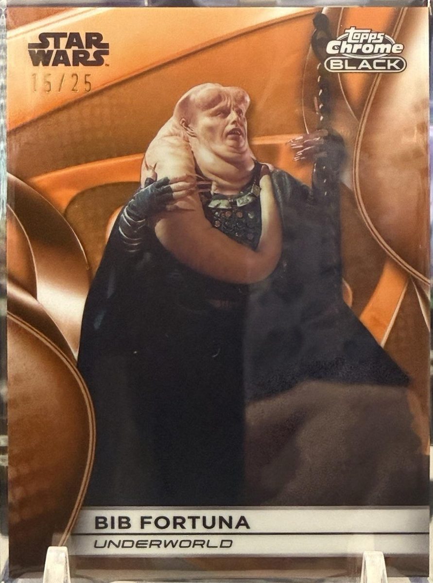 Bib Fortuna
