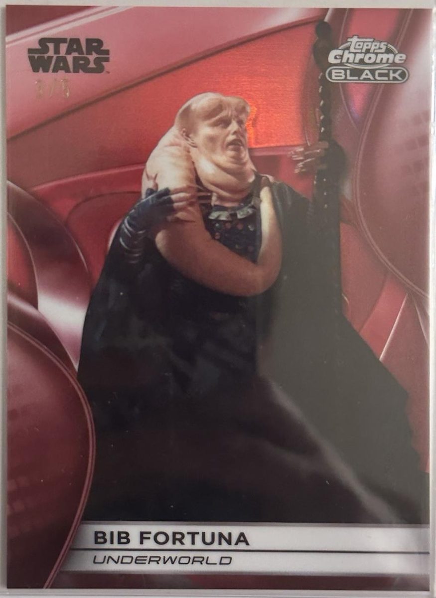 Bib Fortuna