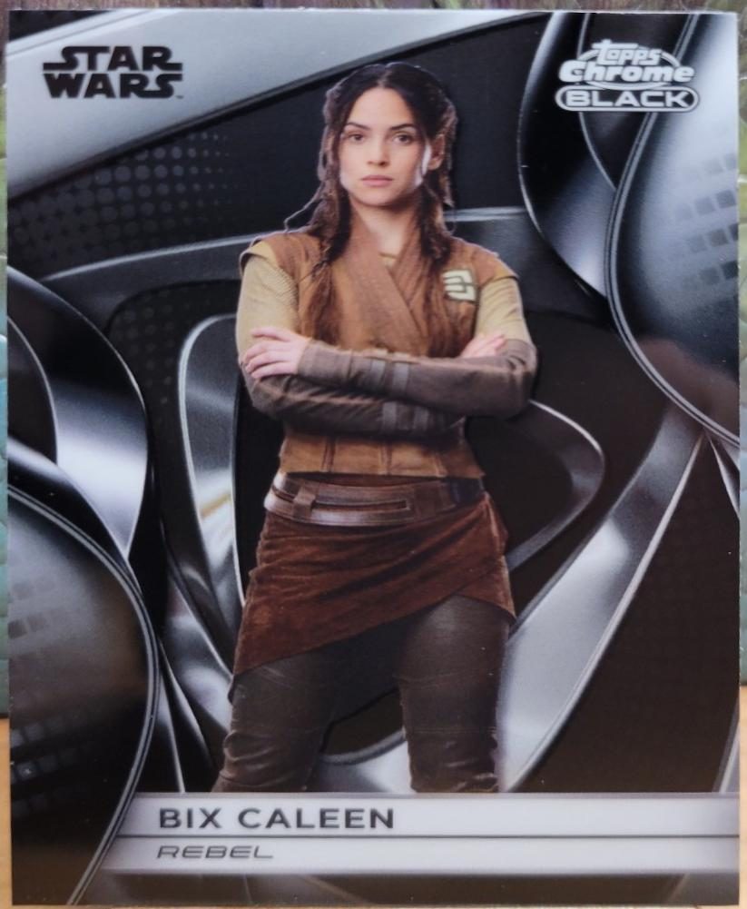 Bix Caleen