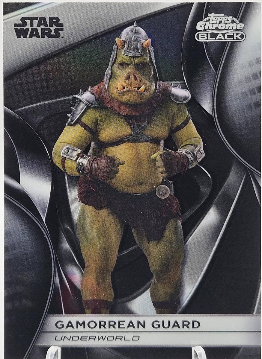 Gamorrean Guard