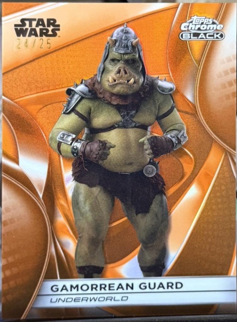 Gamorrean Guard