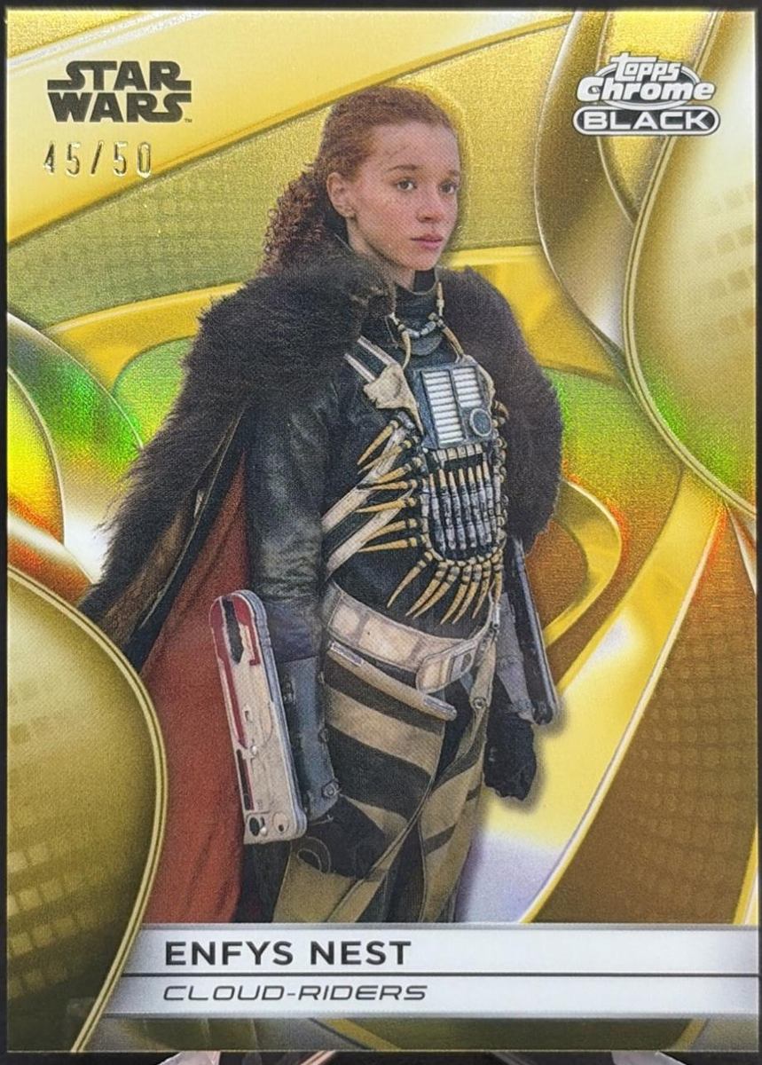 Enfys Nest