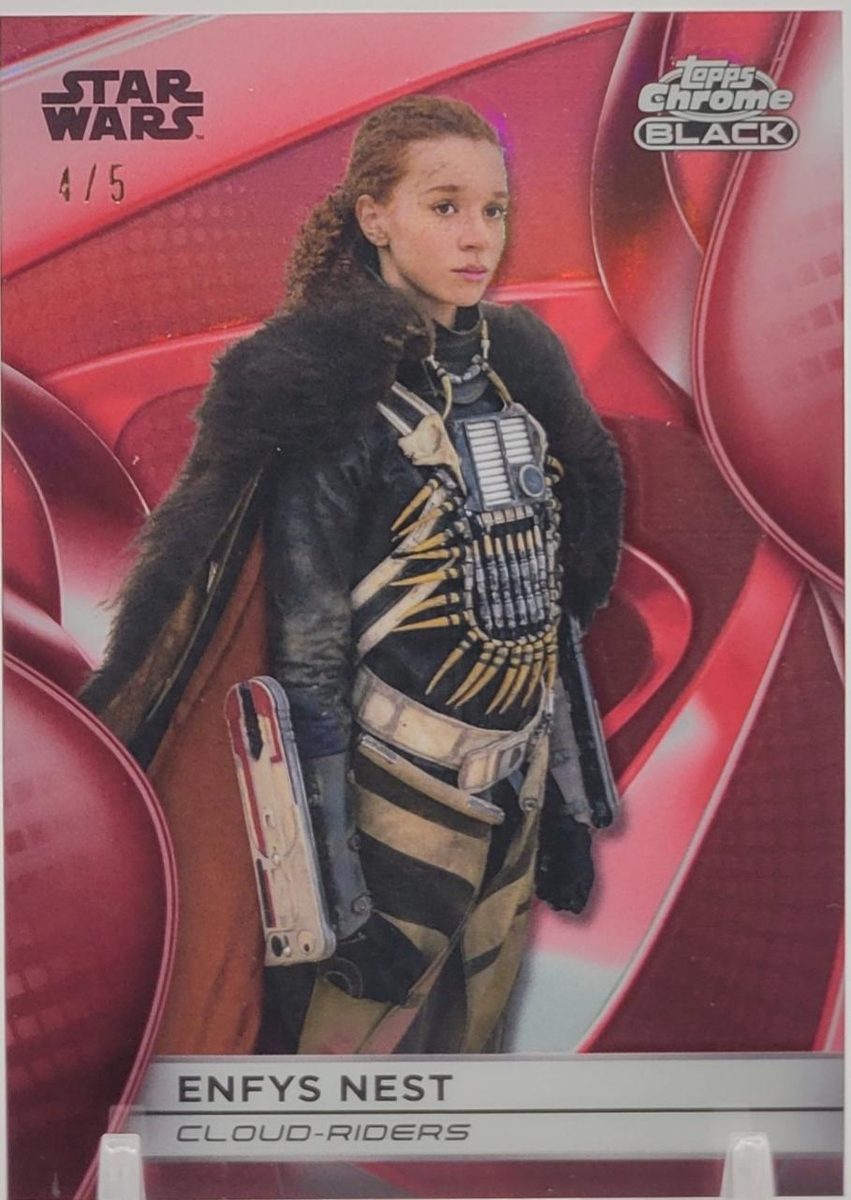 Enfys Nest